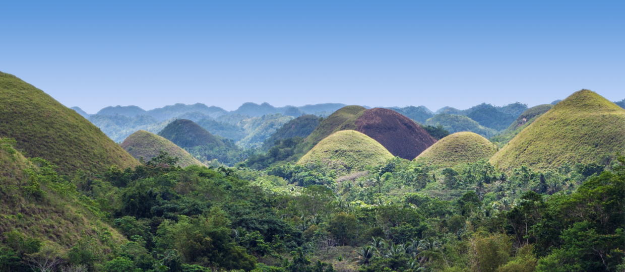 Chocolate Hills Goparoo